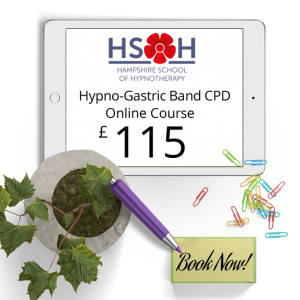 hypnogastricband